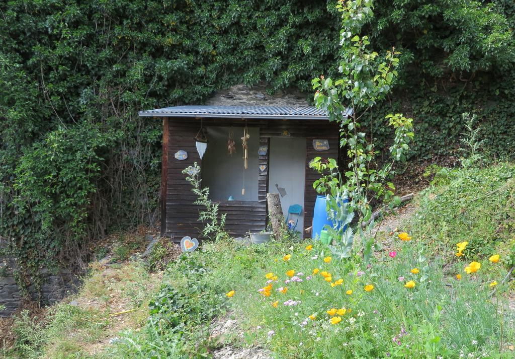 Ferienhaus Mauseloch Kaub Luaran gambar